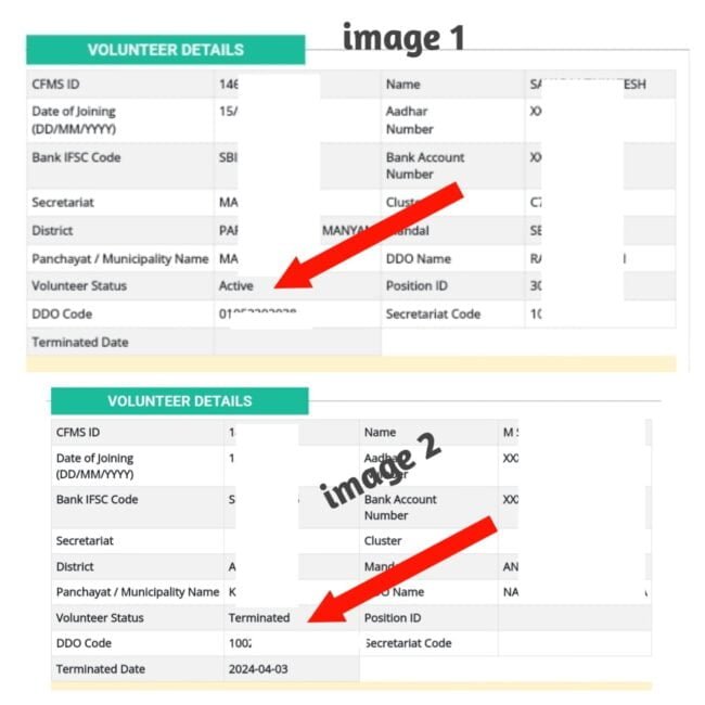 AP GSWS Volunteer CFMS ID Status