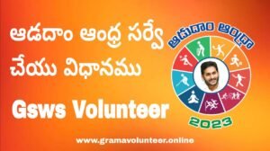 Aadudam Andhra Survey Process Grama Ward Volunteers