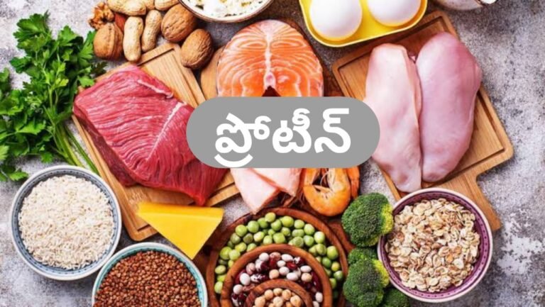 ప్రొటీన్‌