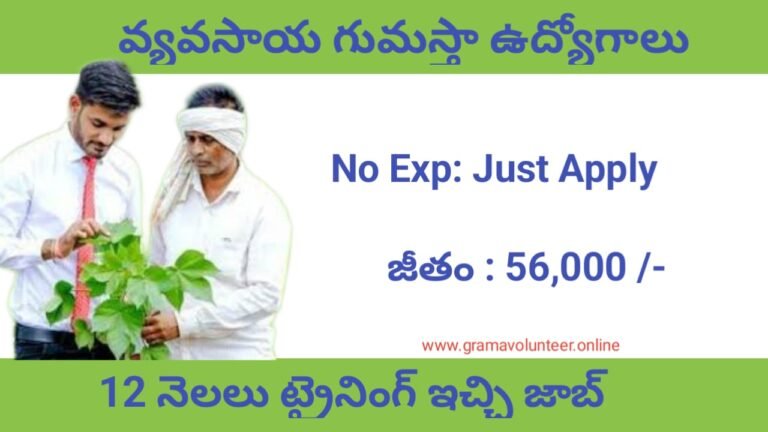 NFL Notification 2024 Telugu