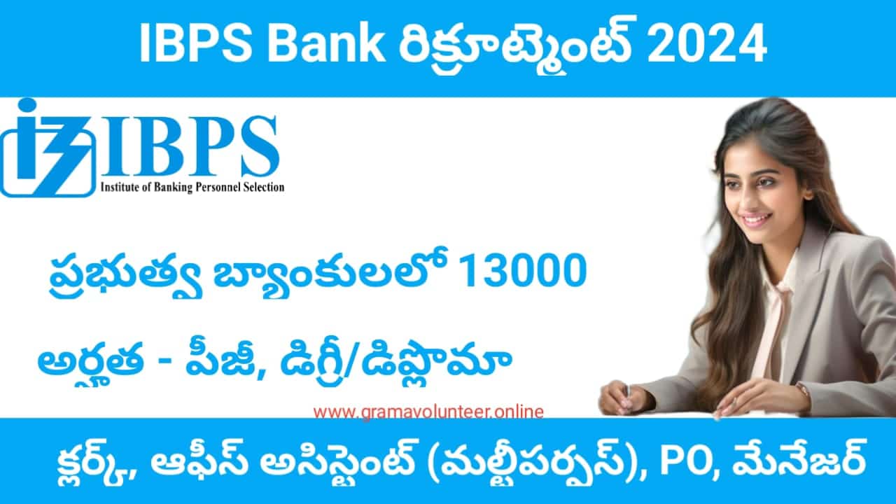 IBPS Notification 2024