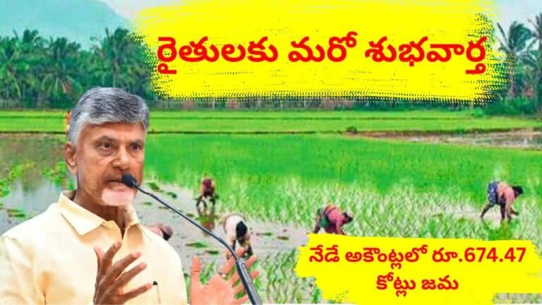 Ap Govt Release Pending Paddy pending money