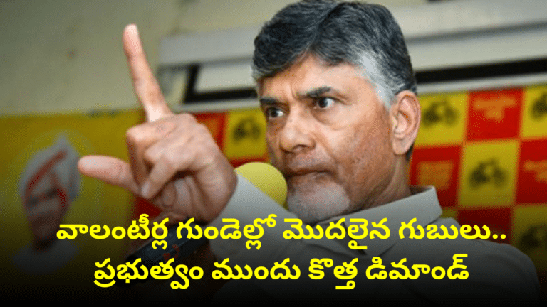 Ap Volunteer Latest Update 2024