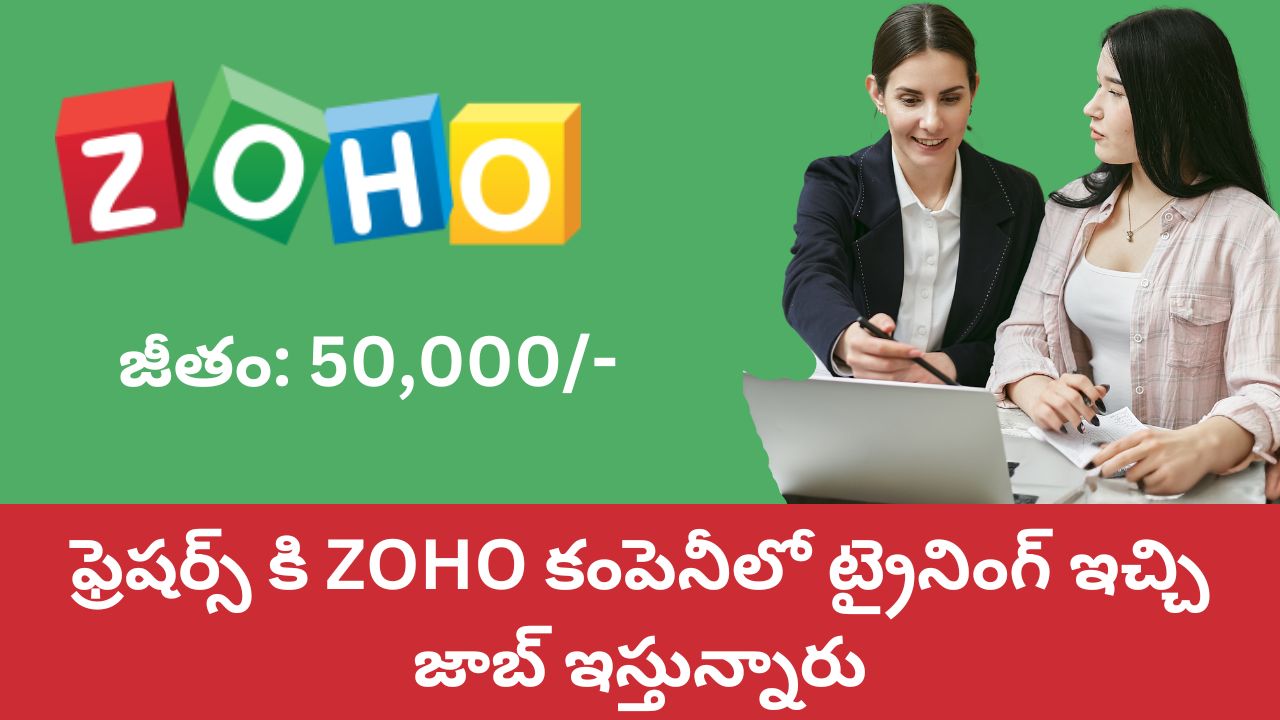 Zoho Recruitment 2024