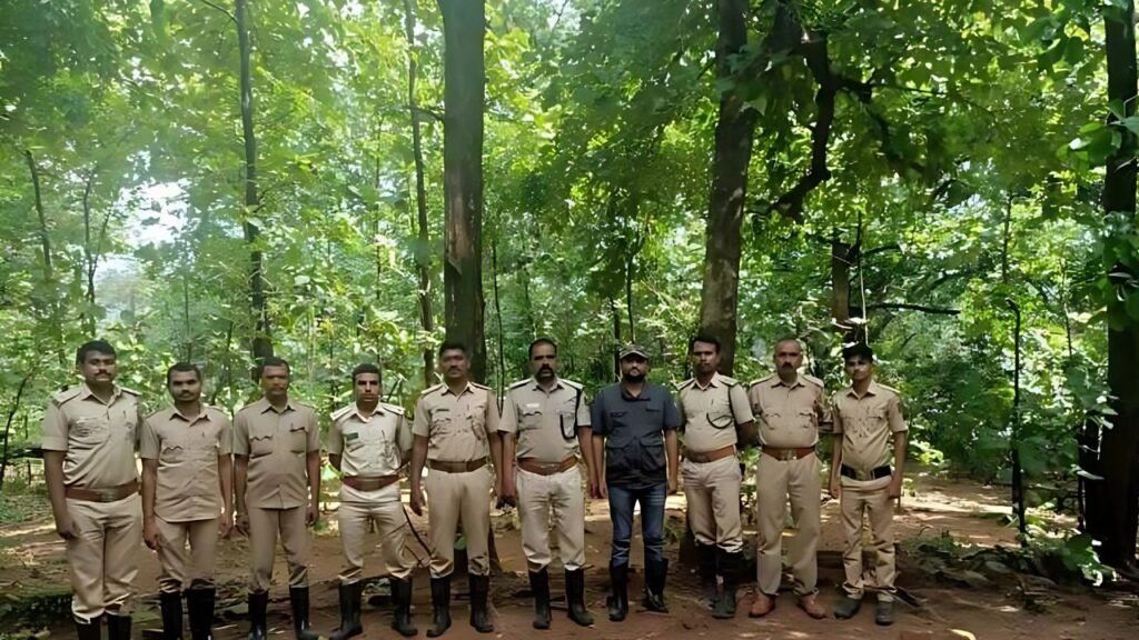 Forest Jobs 2025