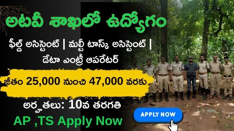 Forest Jobs 2025